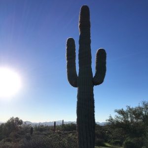 Meet your Posher, Lindsay